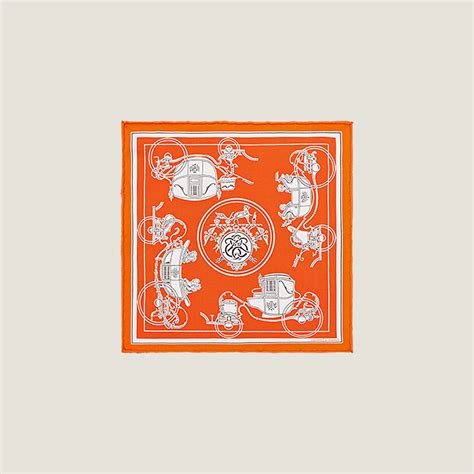 hermes nano scarf 20|Ex.